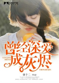 曾經深愛成灰燼小說