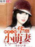 纏愛入髓：華麗小萌妻小說