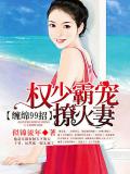 纏綿99招：權少霸寵撩火妻小說