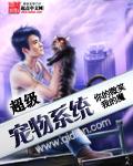 超級寵物系統小說