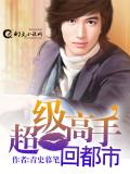超級高手回都市小說