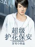 超級護花保安小說