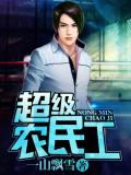 超級農民工小說