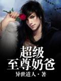 超級至尊奶爸小說