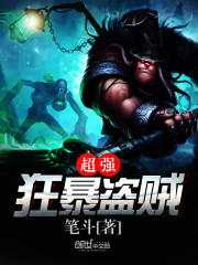 超強狂暴盜賊小說