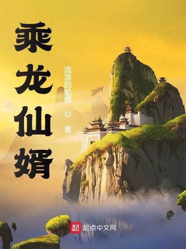 乘龍仙婿小說
