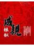 成親小說