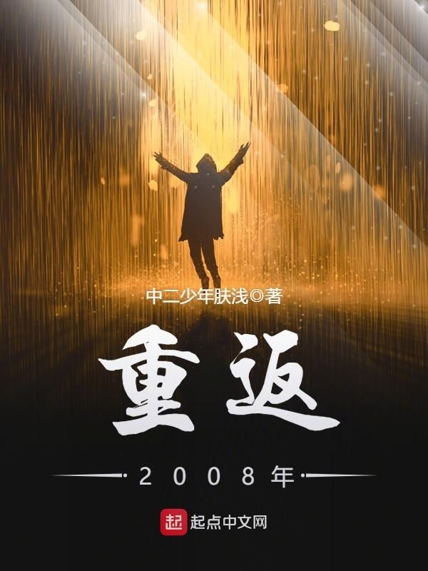 重返2008年小說