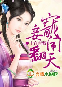 寵妾鬧翻天小說