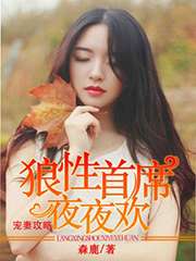 寵妻攻略：狼性首席夜夜歡小說