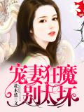 寵妻狂魔別太壞小說