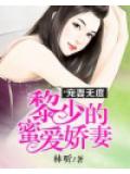 寵妻無度：黎少的蜜愛嬌妻小說