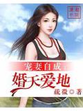 寵妻自成——婚天愛地小說