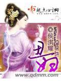醜婦小說