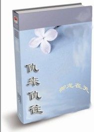 仇來仇往小說