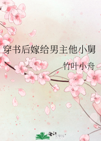 穿書後嫁給男主他小舅小說