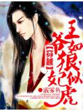 穿越：王爺如狼，妃似虎小說