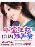 穿越:下堂王妃難再娶小說