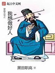 穿越大宋之我想做好人小說