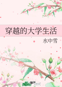穿越的大學生活小說