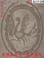 穿越美漫之山寨神盾局小說