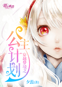 穿越夢境之公主計劃小說