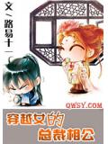 穿越女的總裁相公小說