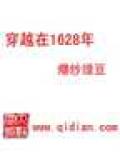 穿越在1628年小說