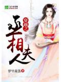 穿越之丞相夫人小說