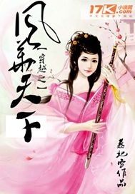 穿越之風華天下小說