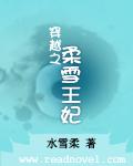 穿越之柔雪王妃小說