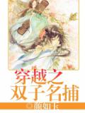 穿越之雙子名捕小說