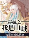 穿越之我是山賊小說