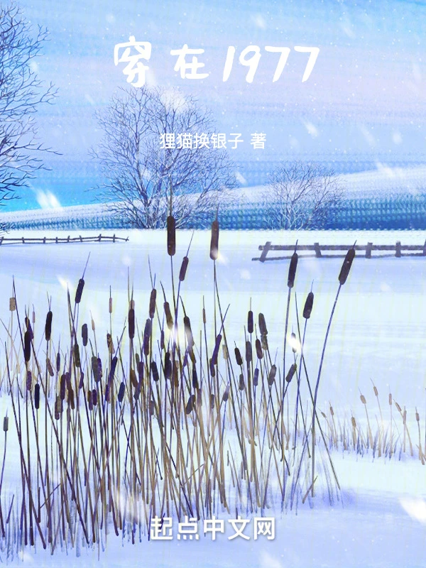 穿在1977小說