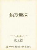 觸及幸福小說