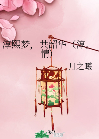 淳熙夢，共韶華（淳。情）小說
