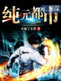 純元都市小說