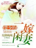楚少的二嫁閒妻小說