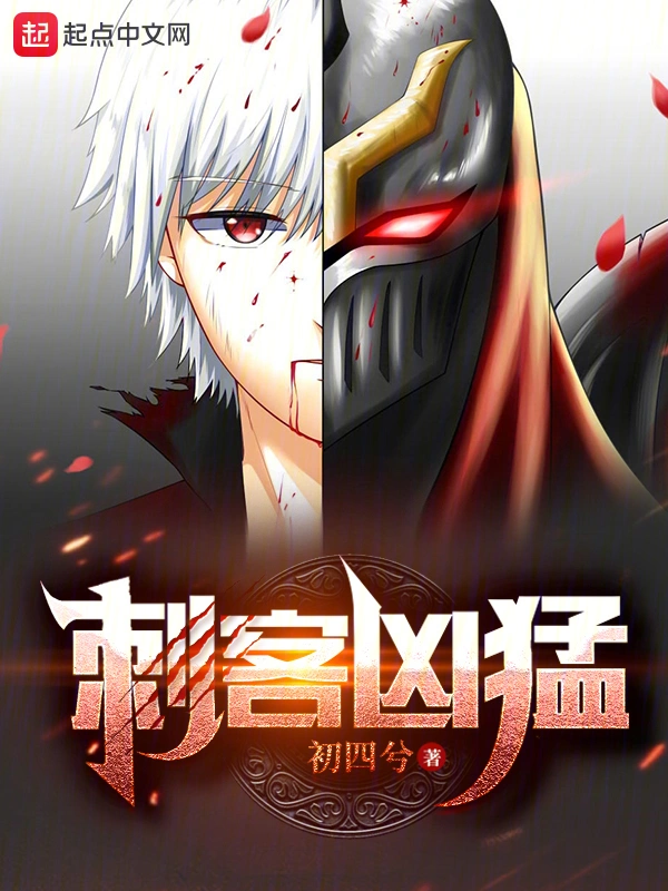 刺客兇猛小說