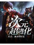 次元超進化小說
