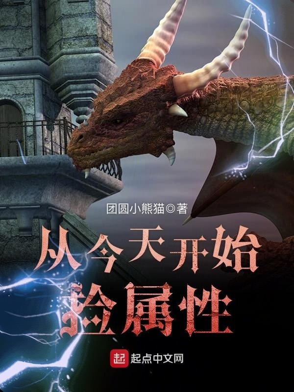 從今天開始撿屬性小說