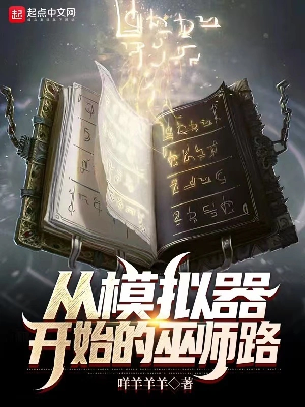 從模擬器開始的巫師路小說