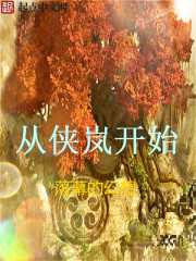 從俠嵐開始小說