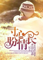 寸心盼情長小說