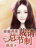 錯婚誘情：總裁請節制小說
