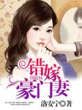 錯嫁豪門妻小說