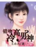 錯吻高冷男神小說