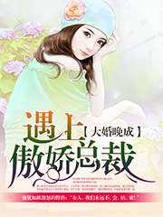 大婚晚成：遇上傲嬌總裁小說
