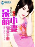 呆萌小妻馴夫手冊小說