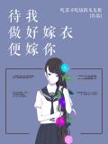 待我做好嫁衣便嫁你小說